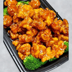 Best 左宗鸡 General Tso's Chicken in Hudson, FL
